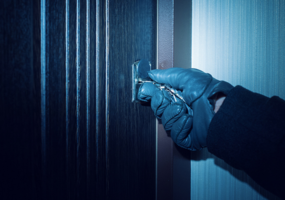 Netfox Security