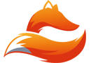 Netfox Security