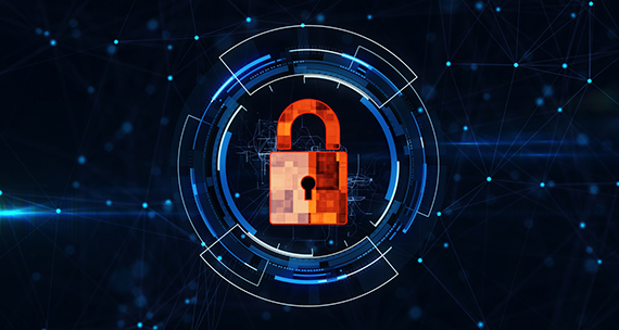 Netfox Security